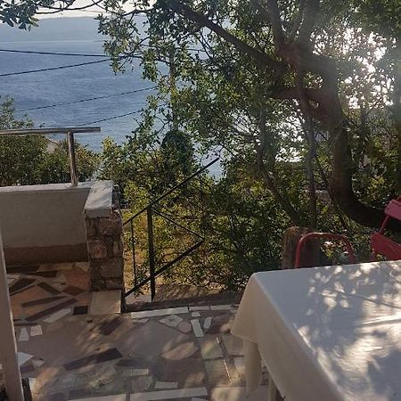 Kiko 2 Apartment Senj  Bagian luar foto